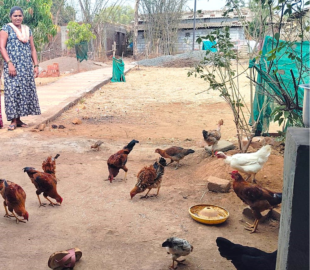 Mujer rural de Maharashtra en su negocio de cría de aves.